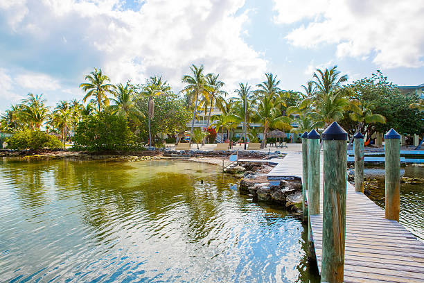 istock Tropical resort with chaise longs and hammocks 540567108