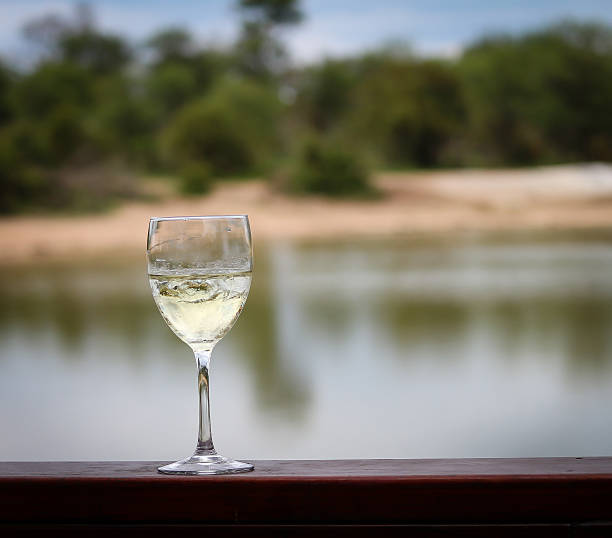 istock White Wine glass by a dam in nature 540570246