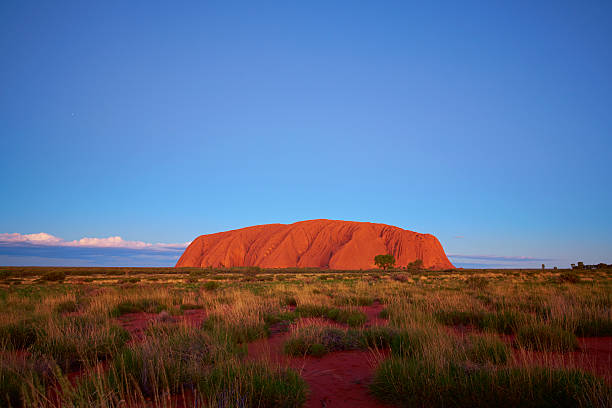 Northern Territory, Australia - March 29, 2016: Uluru lies in the heart of Australia's Outback, here we see it at dusk, reflecting the light from the setting sun. This great mass of sandstone, technically known as an inselberg, is a sacred site to the local Anangu people, and is something of a Mecca for travellers & photographers alike.