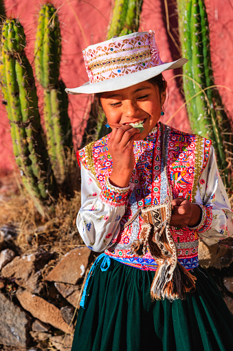 Peruvian young girl in traditional clothing, chewing coca leaves near Chivay town. Chivay is a town in the Colca valley, capital of the Caylloma province in the Arequipa region, Peru. Located at about 12,000 ft above sea level, it lies upstream of the renowned Colca Canyon. It has a central town square and an active market. Ten kilometers to the east, and 1,500 meters above the town of Chivay lies the Chivay obsidian source. Thermal springs are located 3 km from town, a number of heated pools have been constructed. A stone 