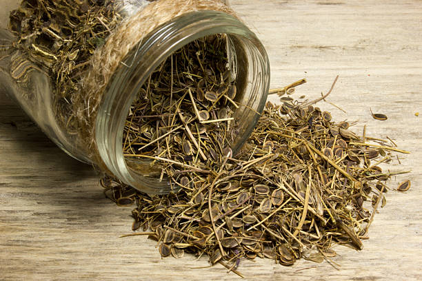 istock Fennel seeds in glass jar on wooden background 540575394