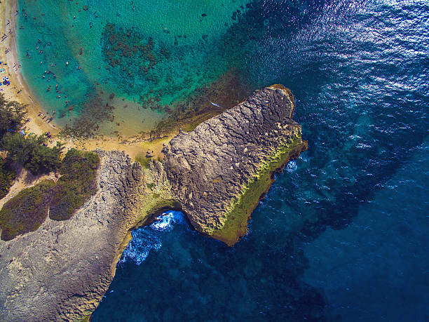 vista aerea di costa di playa jobos isabela, puerto rico - isabella island foto e immagini stock