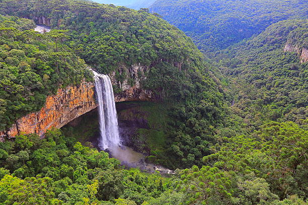 impressionanti cascate caracol, cannella, rio grande do sul, brasile - tropical rainforest travel beauty in nature environment foto e immagini stock