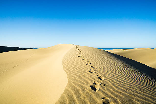 istock Maspalomas Dunes in the Morning/ Spain 540576526