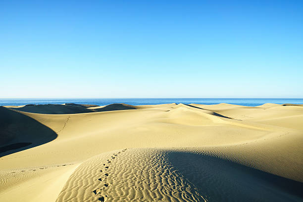 istock The Maspalomas Dunes at Gran Canaria / Spain 540576988