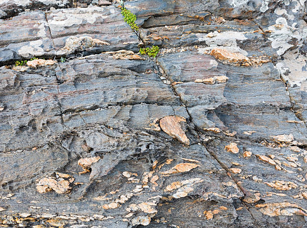 istock Part of rock close up. 540578040