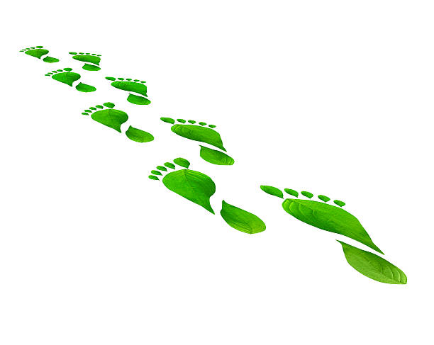 istock Green leaves foot steps isolated over white background. Environmental concept. 540579866