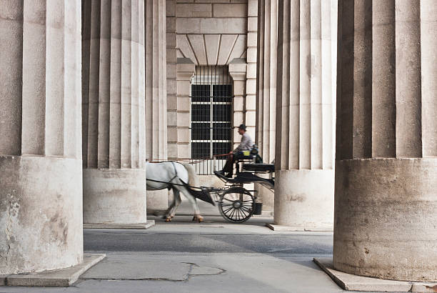 carruaje tirado por caballos pasando por el collonnade - colonnade column architecture austria fotografías e imágenes de stock