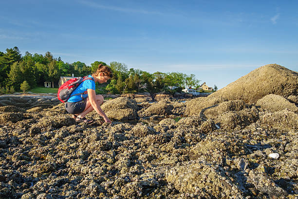 istock woman on rocky beach 540583254