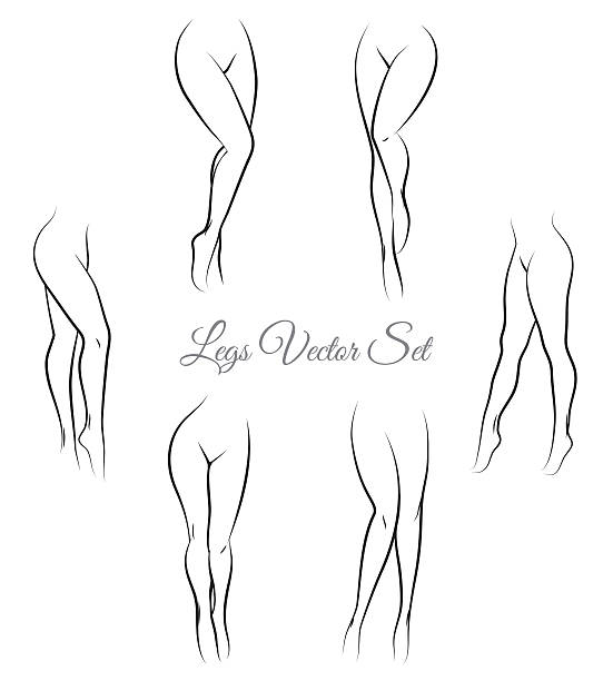 Graphis Legs 260+ Human Leg Women White Background The Human Body Stock ...