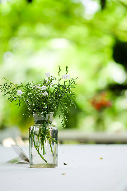 istock Beautiful flowers in vase 540584278