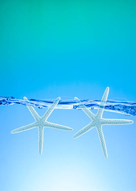istock floating red starfish in turquoise sand beach 540585104