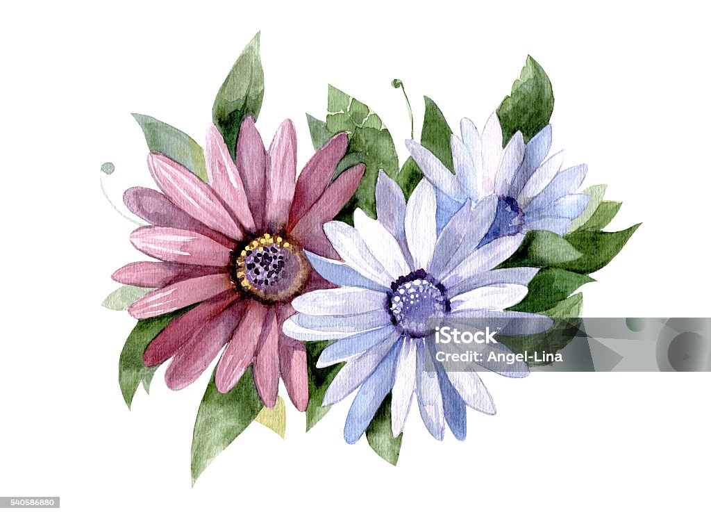 Tranh Minh Họa Vẽ Tay Màu Nước Với Những Bông Hoa Đẹp Hình Minh Họa Sẵn Có  - Tải Xuống Hình Ảnh Ngay Bây Giờ - Istock