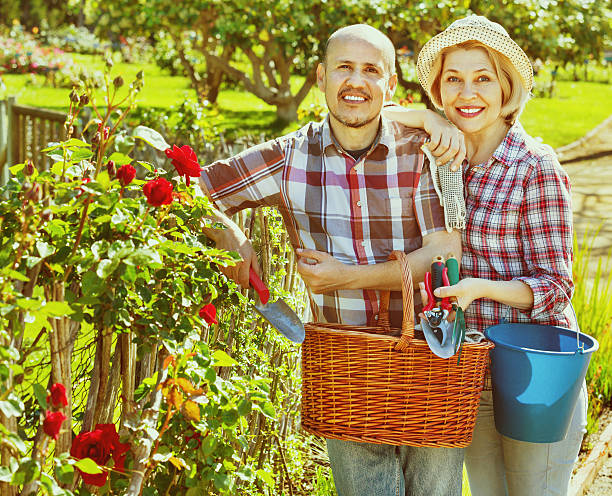高齢者のカップル後に花庭の - senior adult couple care spring ストックフォトと画像