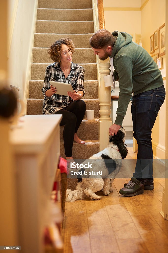 choosing the best pet care for the dog a woman sits on the stairs of her home and  and is using her digital tablet . She is smiling happily as she checks her  insurance for her pet dog and showing her partner who leans next to her and gives the dog a stroke . Staircase Stock Photo