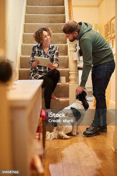 Choosing The Best Pet Care For The Dog Stock Photo - Download Image Now - Staircase, 30-39 Years, Adult