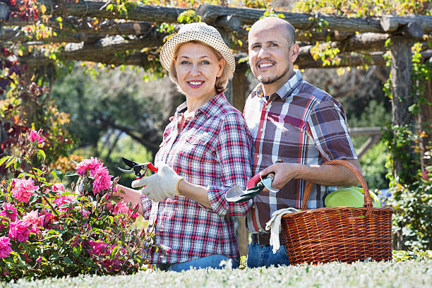 高齢者のカップル後に花庭の - senior adult couple care spring ストックフォトと画像