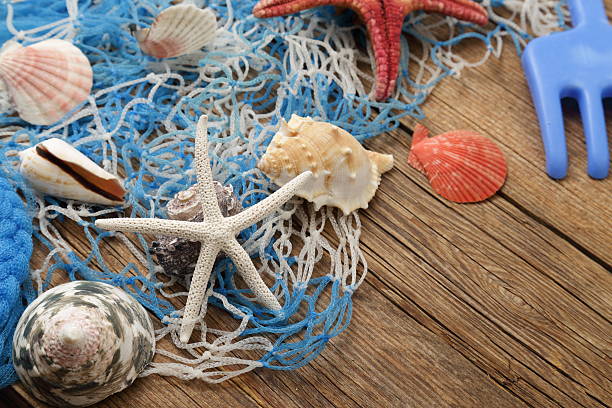 istock Starfish on wood background 540589374