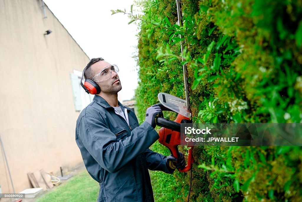 Hübsche junger Mann Gärtner Schneiden und lanscaping Bäume mit Verzierung - Lizenzfrei Hausgarten Stock-Foto