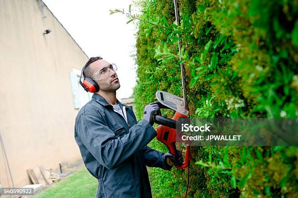 Hübsche Junger Mann Gärtner Schneiden Und Lanscaping Bäume Mit Verzierung Stockfoto und mehr Bilder von Hausgarten