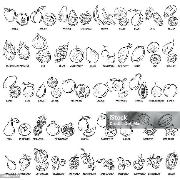 Hand Drawn Vector Set Of Fruits And Berries Vintage Illustrations Stock Illustration - Download Image Now