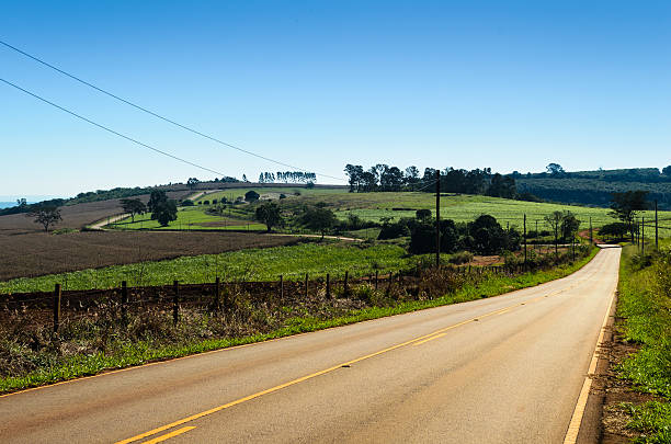 istock rural road in the morning 540594990
