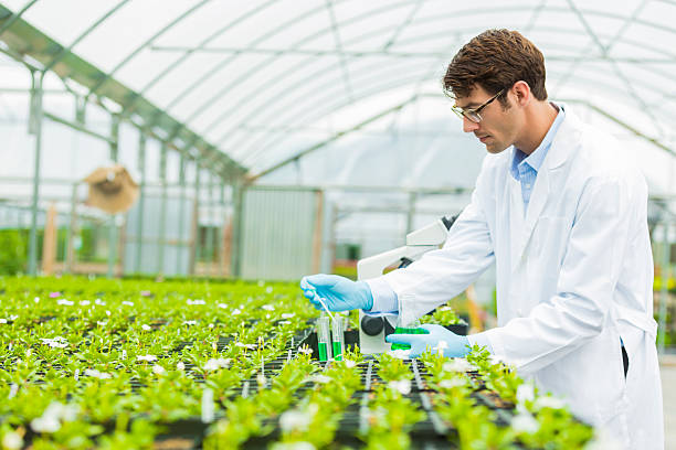 Botanist working in test lab Handsome botanist at test lab for plants. He is filling test tubes while standing in front of a microscope. He has brown hair and is wearing glasses, a white lab coat, and blue gloves. agricultural science stock pictures, royalty-free photos & images