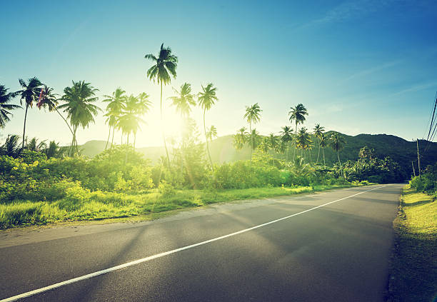 istock empty road in jungle of Seychelles islands 540595450