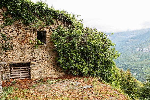 Italy. Region of Ligury. Dilapidated farmhouse with vegetation in the village of Triora. Triora is a medieval town situated in the region of Ligury, near the border with France. It is a member of \
