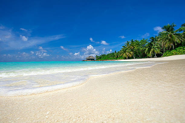istock Maldives Island Resort 540596484