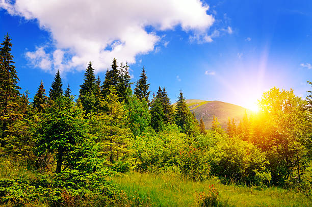istock mountain landscape and sunrise 540596888