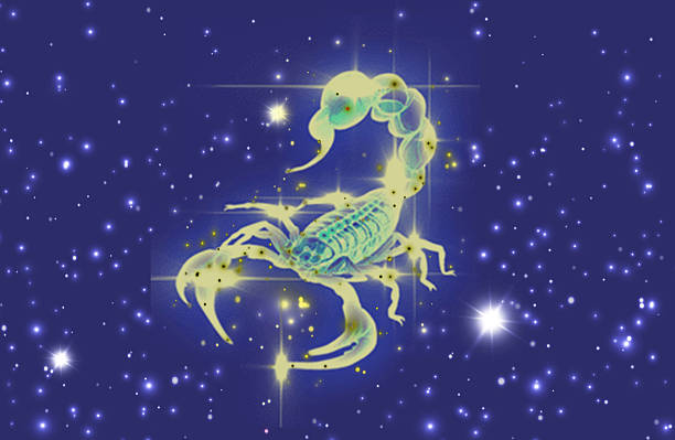 Zodiac sign Scorpio on night starry sky background illustration. Zodiac sign Scorpio on night starry sky background illustration scorpio stock illustrations