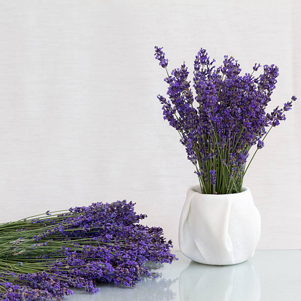 istock Bouquet of fresh lavender 540599706