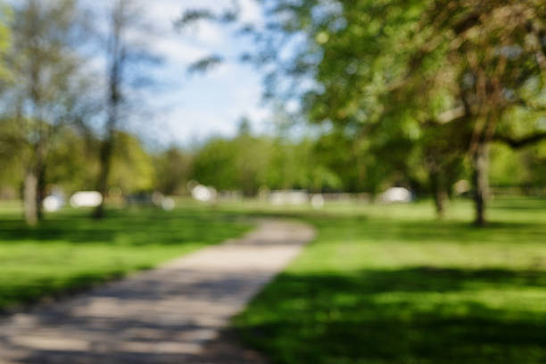 istock blurred background of spring or summer park in town 540600198