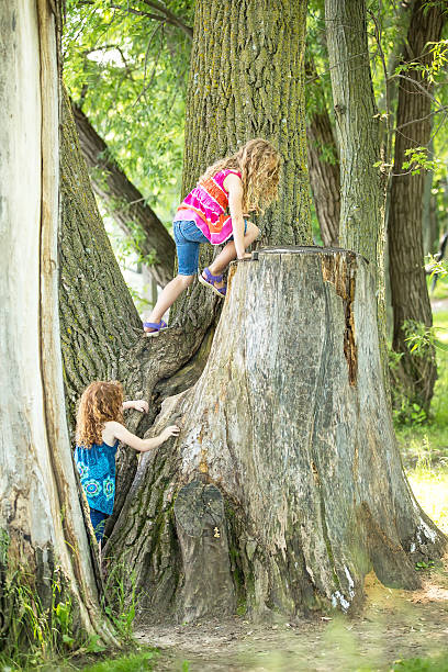 istock Two Young Girls Climbing Large Tree In Summer 540601830