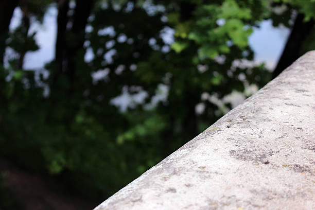 istock texture railing from the Karpin bridge in Gatchina. 540607114
