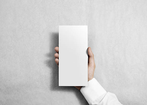 istock Hand holding blank white flyer brochure booklet. 540609780