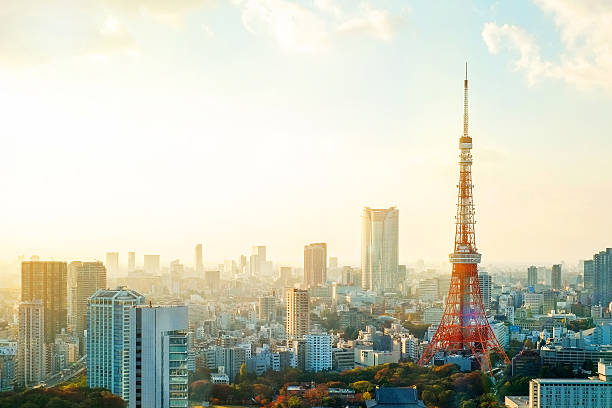 istock Panoramic view of Tokyo tower under moring sunrise 540716684