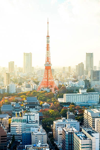 istock Panoramic view of Tokyo tower under moring sunrise 540716700