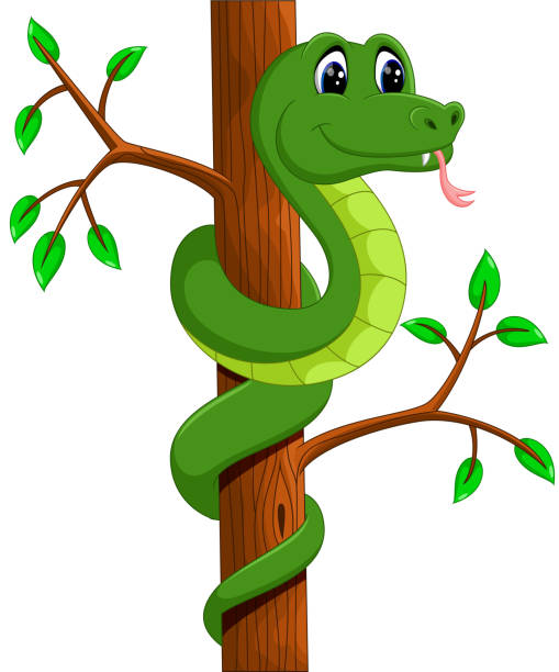 Cute Green Snake Cartoon Stock Illustration - Download Image Now - Anaconda  - Snake, Animal, Animal Body Part - iStock