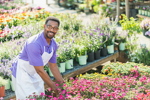 istock African American man working in plant nursery 540717546