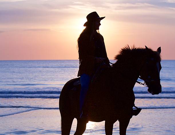 istock Rider And Horse Silhouette 540718328
