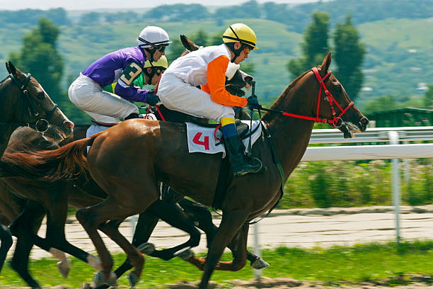 istock Horse racing in Pyatigorsk. 540720010