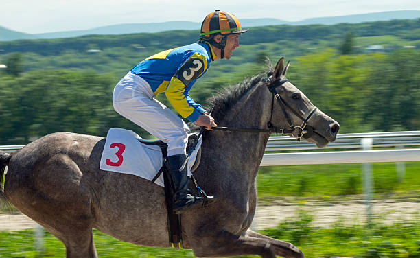 istock Horse racing in Pyatigorsk 540721530