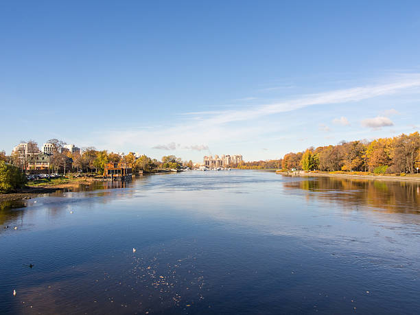 istock river Srednaya Nevka 540725000