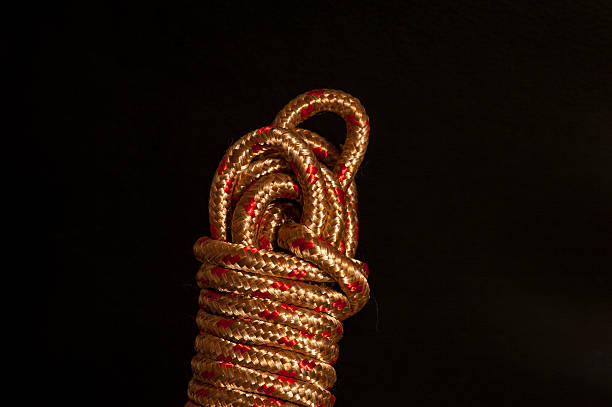 istock Gold and metallic red rope showing textures 540726288