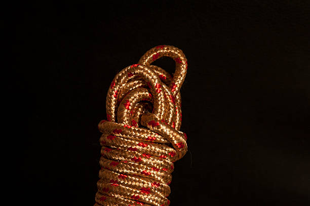 istock Gold and metallic red rope showing textures 540726452