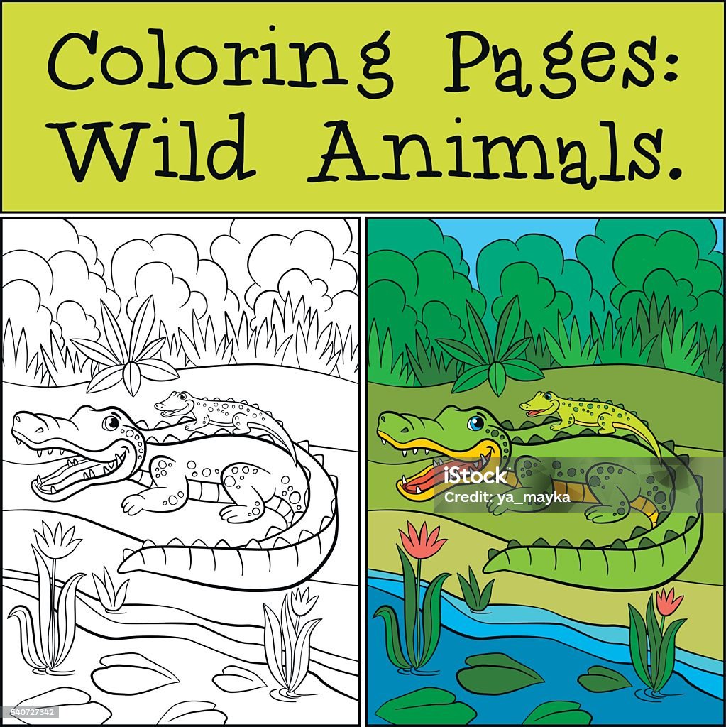 Coloring Pages: Wild Animals. Mother alligator with her baby Coloring Pages: Wild Animals. Mother alligator with her little cute baby alligator in the back. Africa stock vector