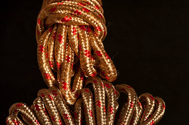 istock Gold and metallic red rope showing textures 540728548