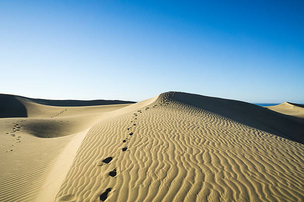 istock Hiker traces on  Dunes at Canary Island / Spain 540728698